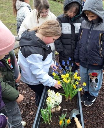 Garten 2