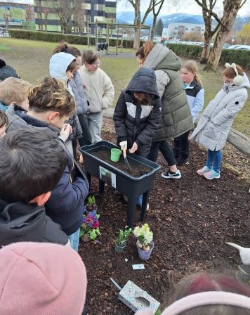 Garten 3